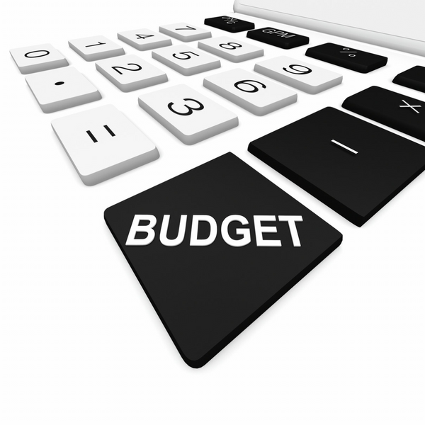 Budget calculator icon